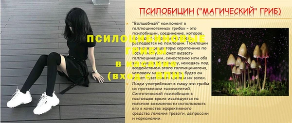 твердый Кулебаки