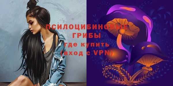 твердый Кулебаки