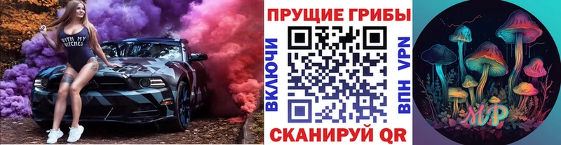 закладка  Советск  Псилоцибиновые грибы Cubensis 