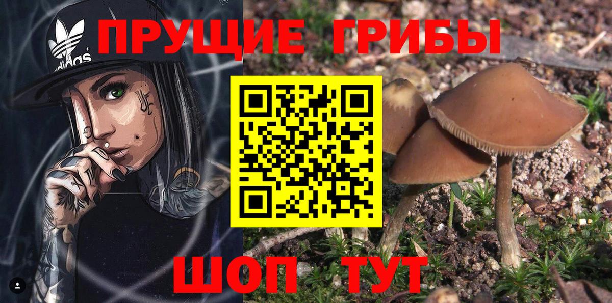 Галлюциногенные грибы ЛСД Советск