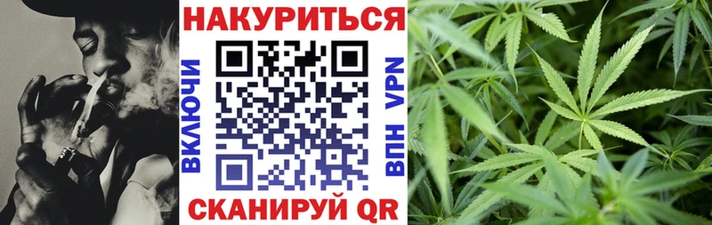 где можно купить   Советск  Бошки Шишки семена 